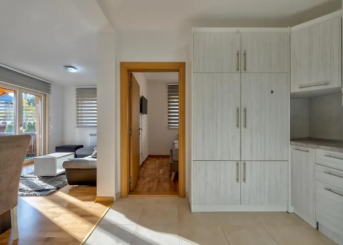 Gold Shine * Zlatibor