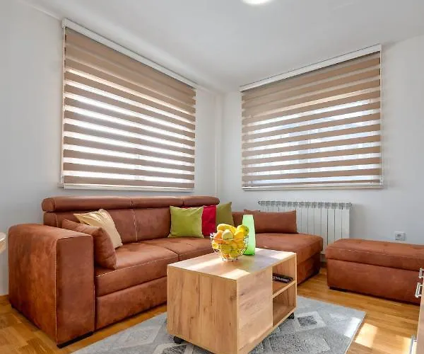 Gold Shine * Zlatibor